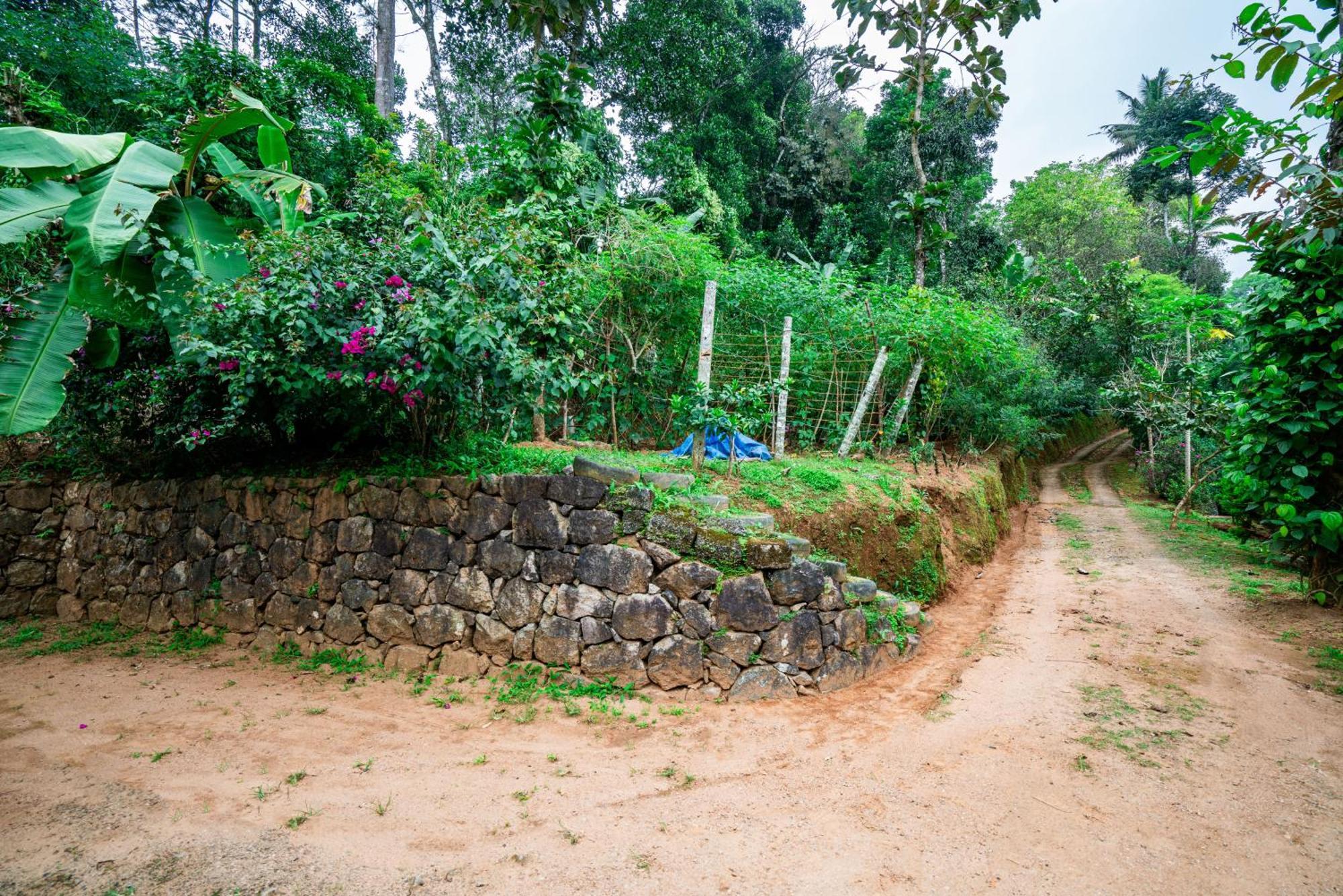 Nature Routes Cottage Munnar Exterior foto